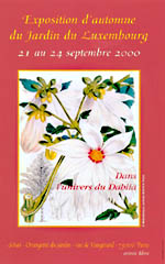 Dans l'univers du Dahlia