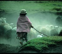 photos: exposition Enfants du Monde �KevinKling