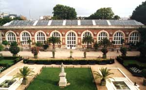 Illustration Orangerie du S&eacute;nat