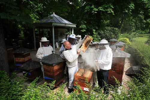 Photo : apiculteurs