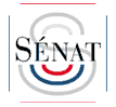 Logo S�nat