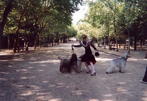 photo concours jardiniers du Sénat