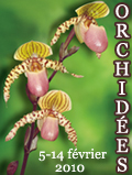 Illustration Exposition Orchid&eacute;es