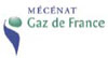Illustration : logo Mécénat Gaz de France
