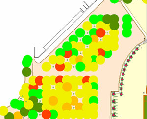 Image de l��tat phytosanitaire des arbres du quinconce r�nov� en 2013. Le vert fonc� correspond � un excellent �tat phytosanitaire, le vert clair � un bon �tat, le jaune � un �tat moyen, l�orange � un mauvais �tat et le rouge � un tr�s mauvais �tat.
