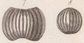 Perles en pâte de verre - C.-M. GRIVAUD de la VINCELLE, 1807, Source : Gallica.BnF.fr/Bibliothèque nationale de France