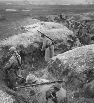 ECPAD - SPA 240 M 4687 - Région de Suippes, exercices de chiens sanitaires dans les tranchées. - 16/12/1917 - Moreau, Albert ECPAD - SPA 240 M 4687 - Région de Suippes, exercices de chiens sanitaires dans les tranchées. - 16/12/1917 - Moreau, Albert