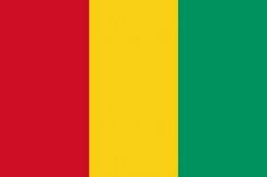 DrapeauGuinée©WikiCommons