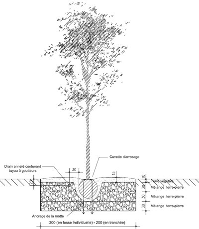 Légende : profil d’une fosse de plantation de 3 m de côté réalisé en mélange terre pierre