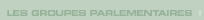 Lien  : Les groupes parlementaires 