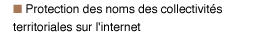 Lien : Protection des noms des collectivit&eacute;s territoriales sur l'internet