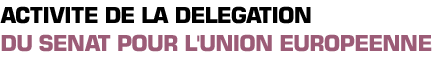 Titre : Activit&eacute; de la d&eacute;l&eacute;gation du S&eacute;nat pour l'Union europ&eacute;enne