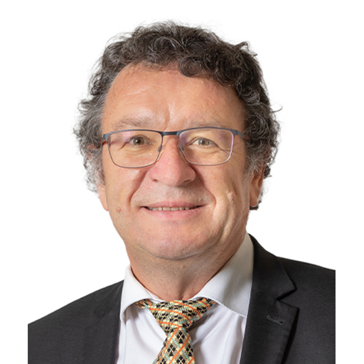 Michel Canévet (Rapporteur S)