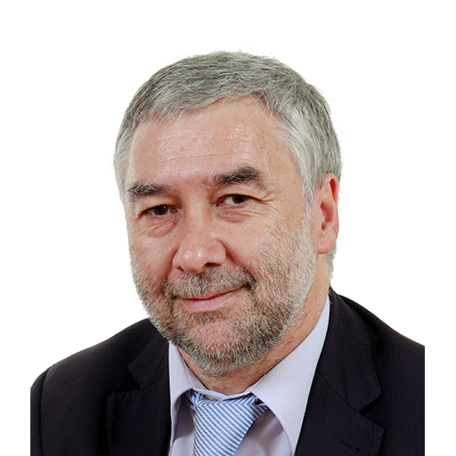 Ronan Dantec (Rapporteur)