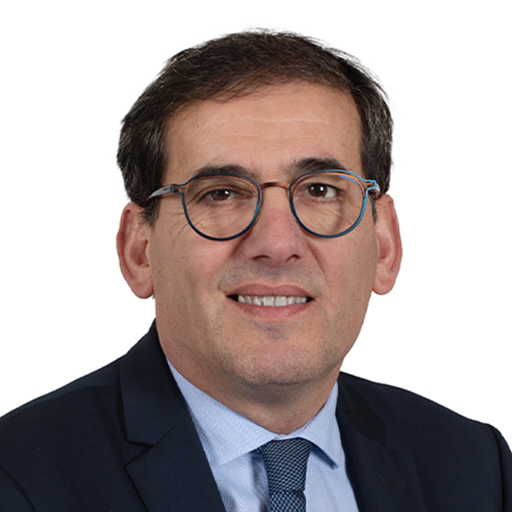 Didier Mandelli (Rapporteur)
