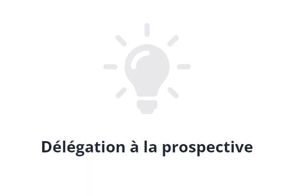 Délégation à la prospective