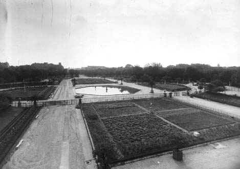 Jardin du Luxembourg sous l'occupation - potager réservé à l'occupant