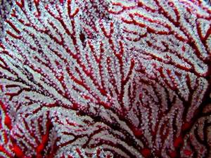 Crédits photographiques : Lionel Loubersac