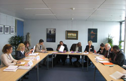 illustration : mission commune d'information - Bruxelles©G. Renaudineau
