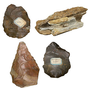 Fragment de défense fossile de mammouth, bifaces et racloir collectés par Émile Combes, Museum d'histoire naturelle de La Rochelle, [lnv. MHNLR-Prl20 , MHNLR­ Pr420, MHNLR- Pr1167, MHNLR - Pr2677]