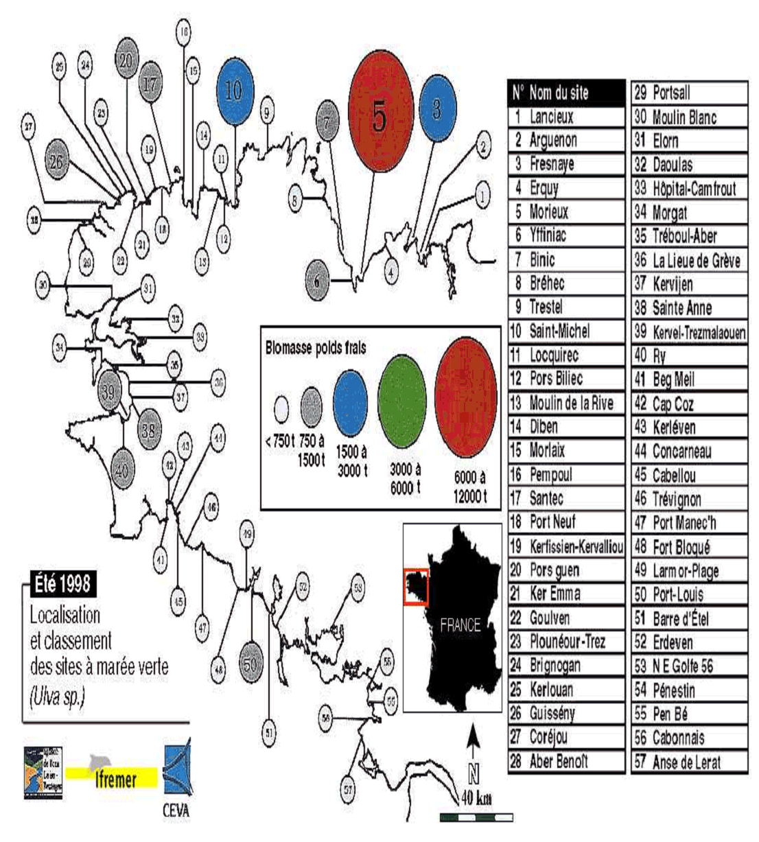 Globes d'arrosage lot de 4, distributeur eau, irrigation plantes et fleurs,  outil de bureau, Ø