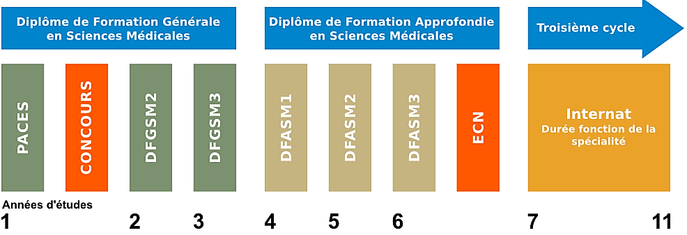 Projet de loi relatif à l'organisation et à la transformation du