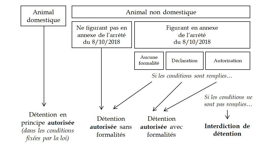 Proposition de loi visant à renforcer la lutte contre la