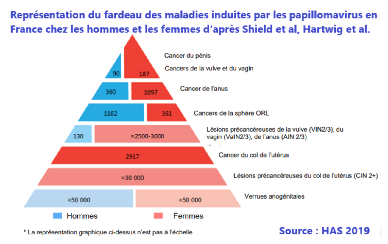 Budget 2024 : dynamique, solidaire, engagé, ensemble - Département