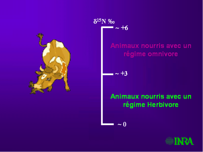 Utiliser des détecteurs acoustiques de la faune pour lutter contre les  accidents impliquant la faune?