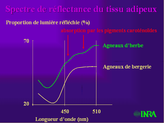 Gélules vides, taille 3 (0,30 ml), gastro-résistantes (entériques