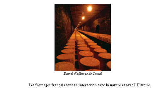 Almanach des Terroirs de France Lorrain 2024 - broché - Ramsay