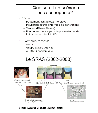 PHEMA Pièges À Puces Domestiques Outil D'élimination des Puces Électriques  D'intérieur pour Le Nettoyage De La Maison : : Jardin