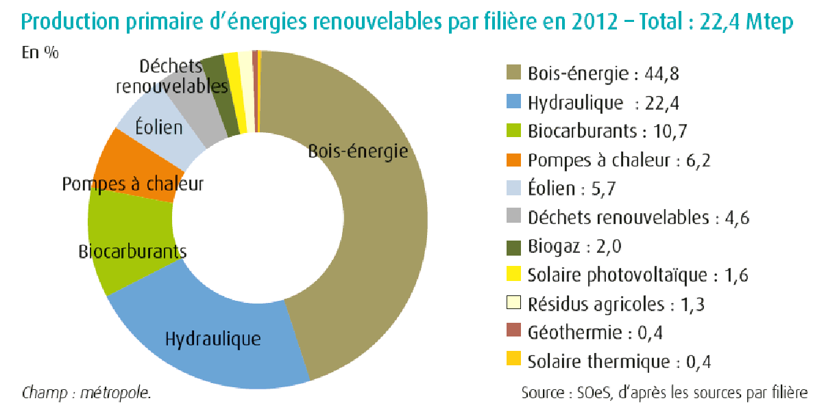 L'homme Charge Les Granulés Dans La Chaudière à Combustible Solide, En  Travaillant Avec Des Biocarburants, Un Chauffage économique