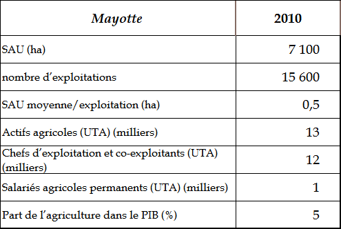 Le succès du rhum antillais sans alcool - Outre-mer la 1ère