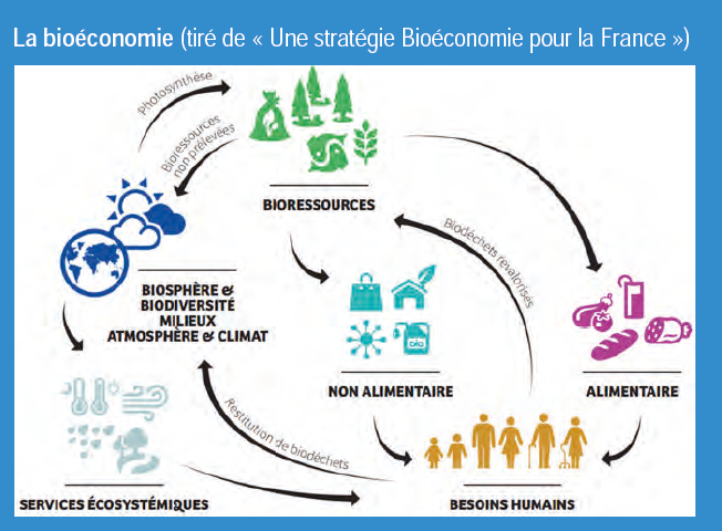 Les plantes médicinales et l'herboristerie : à la croisée de savoirs  ancestraux et d'enjeux d'avenir - Sénat