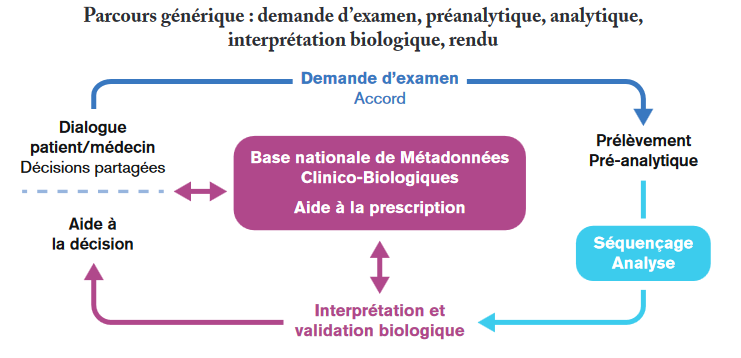 Histoire d'une question anatomique - La répétition des parties et la  construction du “paradigme” des gènes du développement - Publications  scientifiques du Muséum