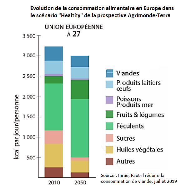 Apprenez à lire l'étiquetage nutritionnel – Bien manger pour mieux vieillir