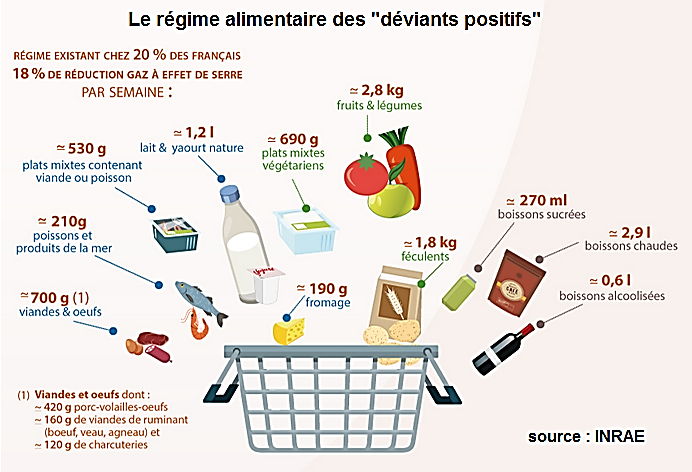 Cartes étapes de la diversification du Secteur des Aliments de l