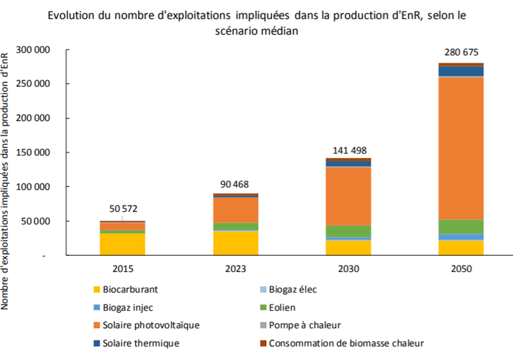 Les algues : le futur de l'énergie et des technologies environnementales ?