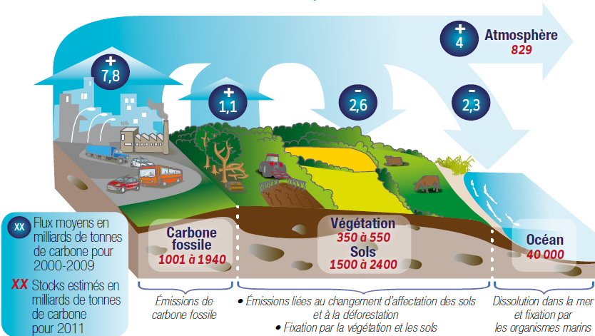 Pompe à jet de puit de surface, thermoplastique | Patrick Morin