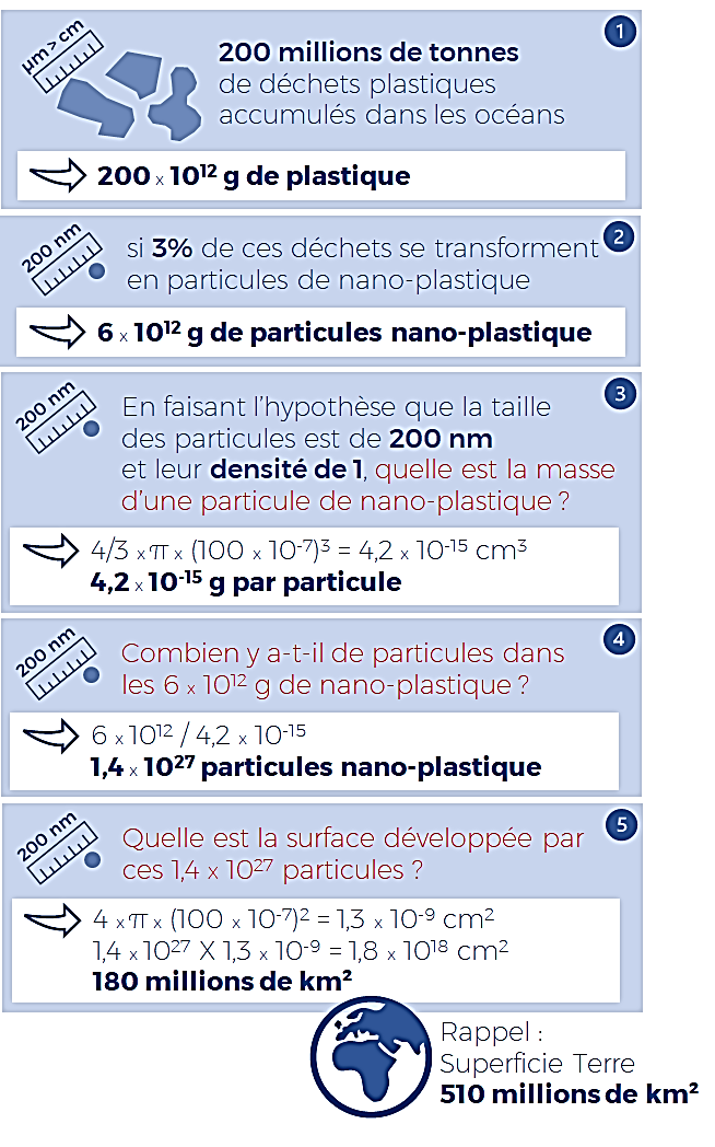 Plastique : un décret adapte les interdictions visant la vaisselle