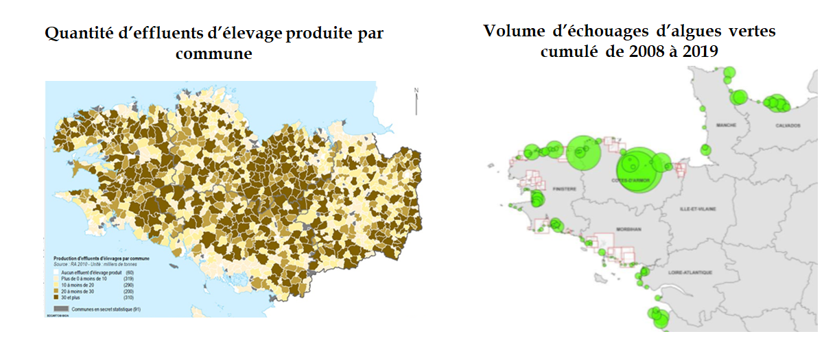 Bretagne : malgré les algues vertes, l'élevage industriel toujours soutenu  par l'État !