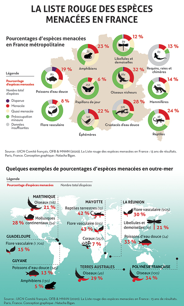 Comment le déneigement menace nos écosystèmes