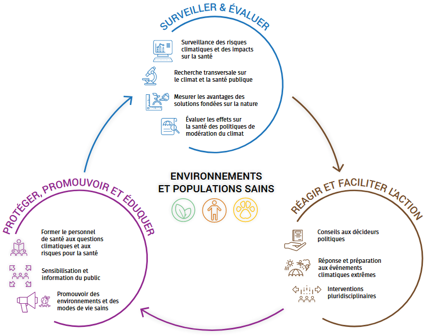 Pour un triangle des possibles L'économie sociale et solidaire comme  réponse face aux crises