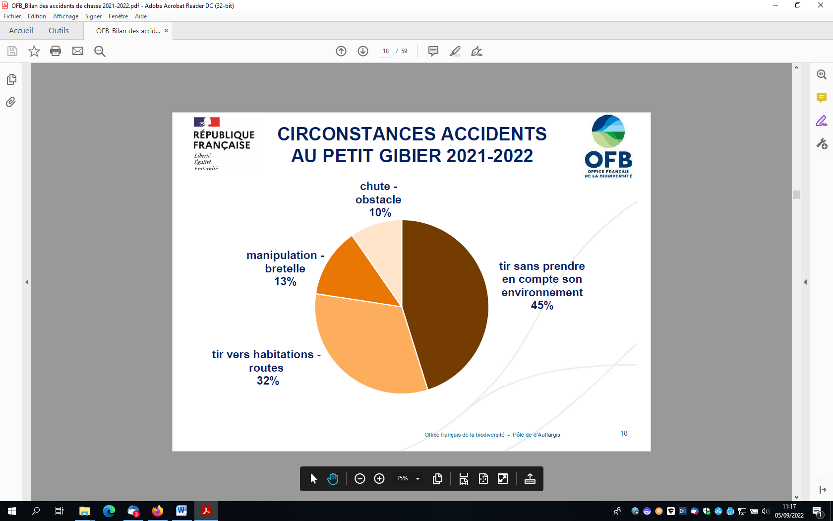 Attention aux collisions avec le gibier - France Bleu