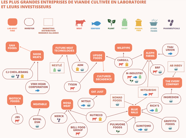 Promotions dans l'alimentaire : une mise en place partielle des EGA  [Tribune]