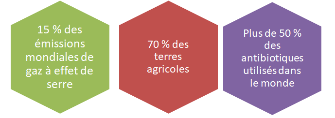 Jusqu'à quel niveau de précision les tests ADN peuvent-ils révéler nos  origines? – Libération