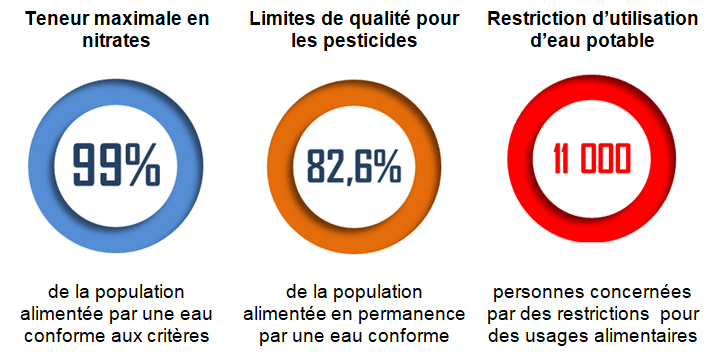 La baie miracle, quel avenir dans la production alimentaire ? – CMI IPA