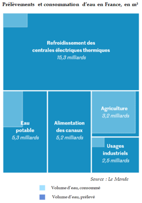 La baie miracle, quel avenir dans la production alimentaire ? – CMI IPA