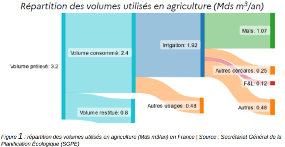 Arrosage : reconnaître un manque ou un excès d'eau (+guide gratuit